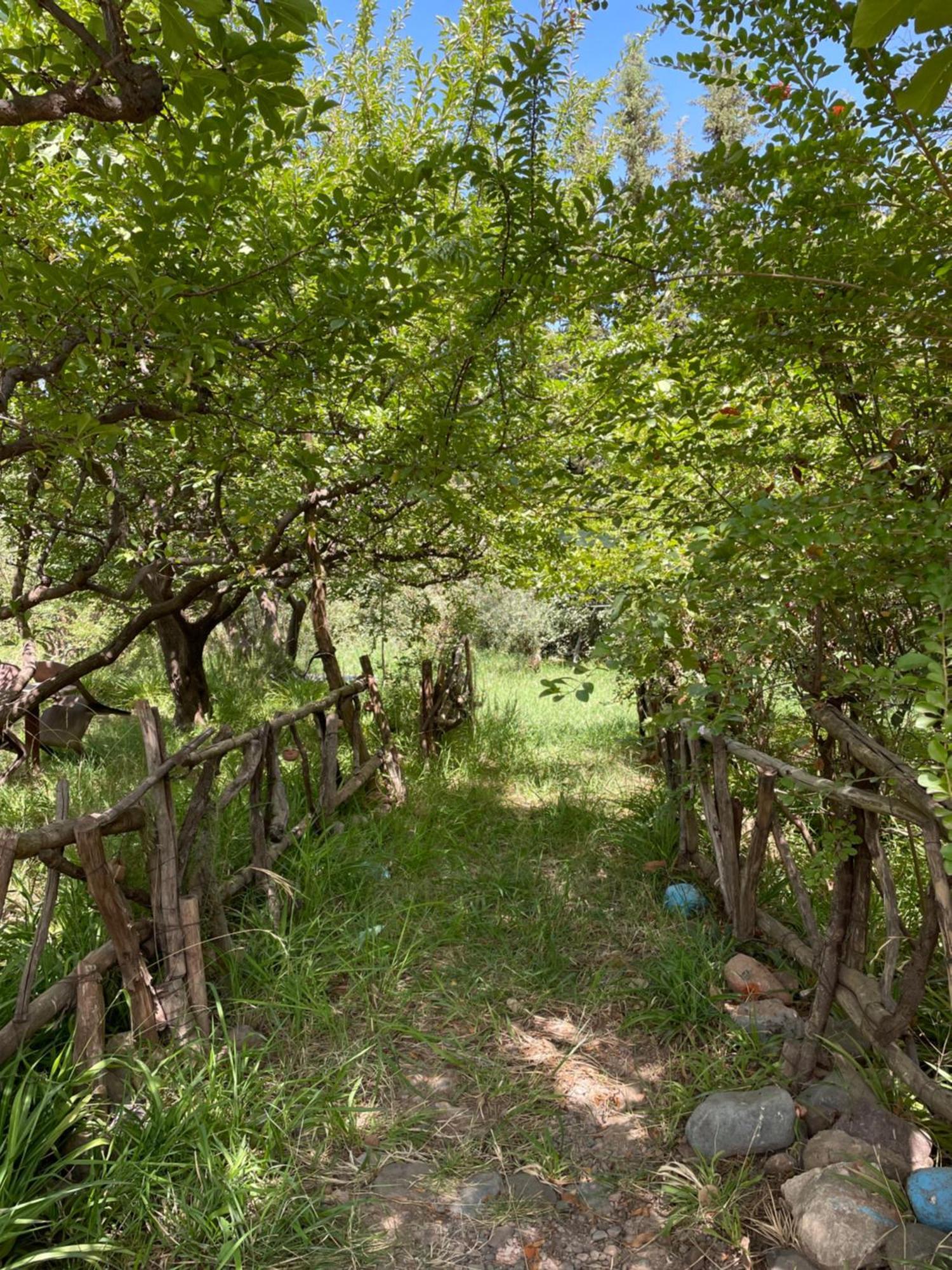 Villa De L'Atlas Tagadirt Dış mekan fotoğraf