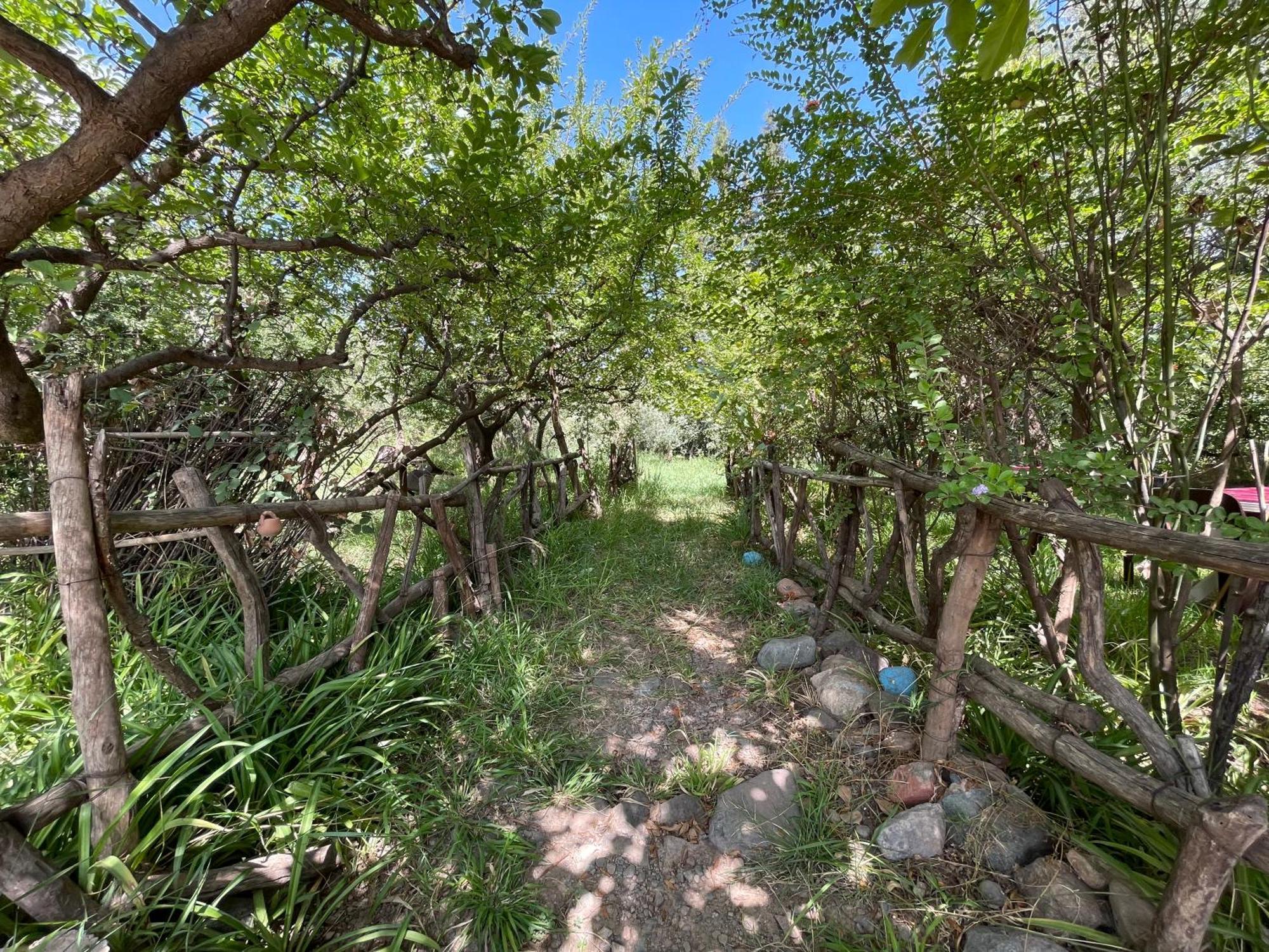 Villa De L'Atlas Tagadirt Dış mekan fotoğraf